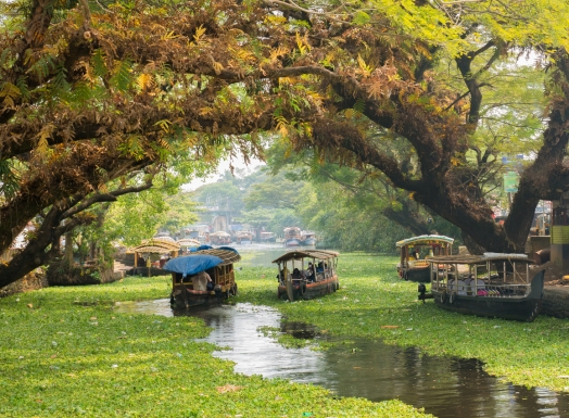 6 Days 5 Nights Kerala package