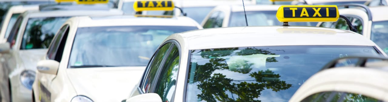 Rental Cars