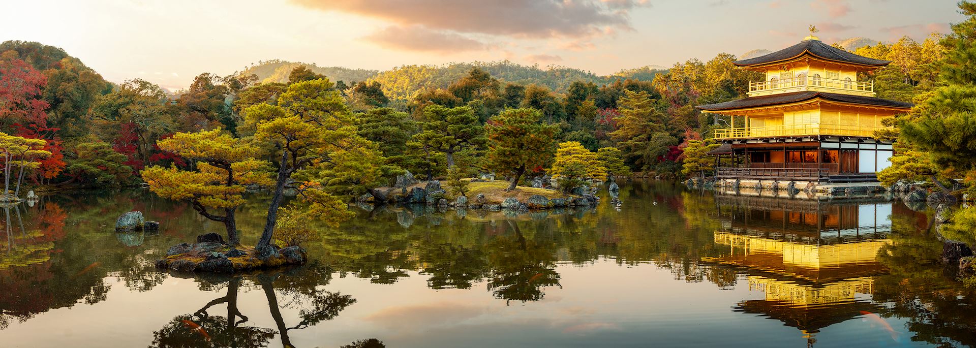 8 Days, 6 Nights Tokyo & Kyoto