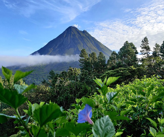 7 Days & 6 Nights Costa Rica